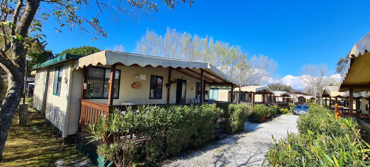 Chalet La Dolce Vita Viareggio Extérieur photo